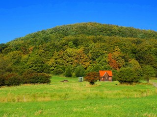 Fototapeta na wymiar Meadow and colorful deciduous forest during autumn, cottage under this forest