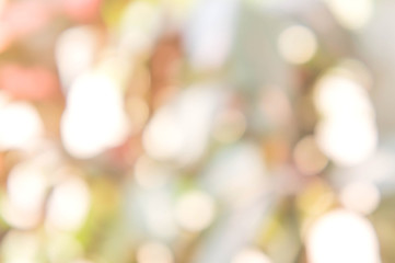 Texture bokeh style , Green natural bokeh background