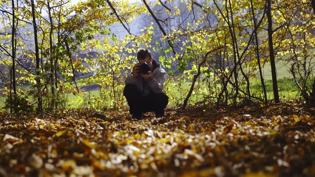 Photographer take picture of autumn season 4K