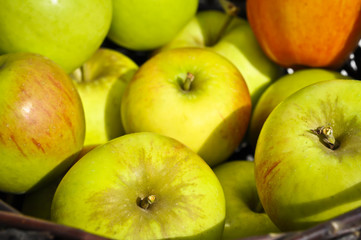 Äpfel im Weidenkorb