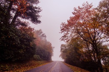 autumn foggy day along blue ridge parkway