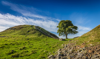 Sycamore Gap on Hadrian's Wall, County of Northumberland, England