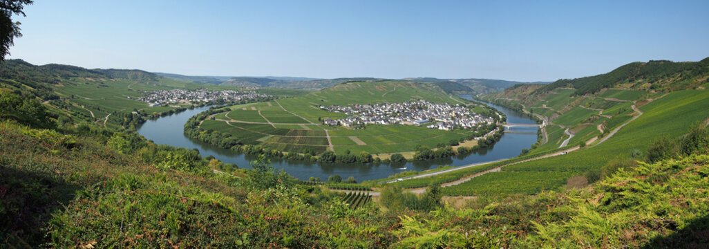 Moselschleife bei Trittenheim