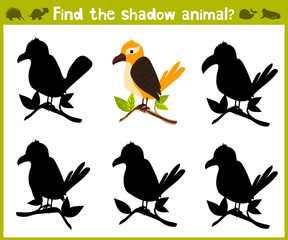Educational game for children of kindergarten and school age on the development of logic. Tropical bird. Vector