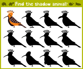 Educational game for children of kindergarten and school age on the development of logic. Birds. Vector