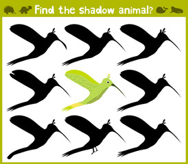 Educational game for children of kindergarten and school age on the development of logic. Birds. Vector