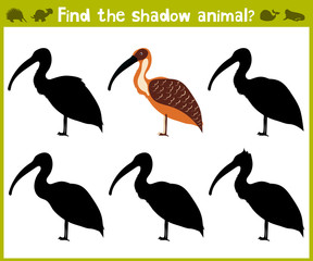 Obraz premium Educational game for children of kindergarten and school age on the development of logic. Birds. Vector