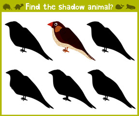 Educational game for children of kindergarten and school age on the development of logic. Birds. Vector