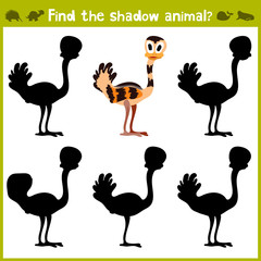 Educational game for children of kindergarten and school age on the development of logic. Birds. Vector