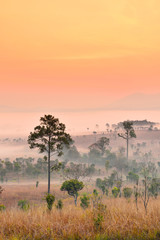 Thung Salang Luang