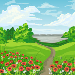 Fototapeta premium Beautiful summer landscape