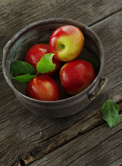 close up view of nice fresh apples on color background