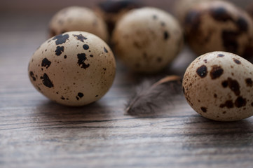 Quail eggs on a gray wooden board