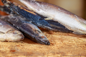 рыба свежезамороженная