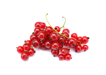 Fresh red currant isolated on white background
