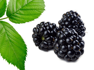 Blackberry. Ripe fresh blackberries isolated on white with leaves on the left