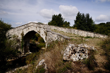 Fototapeta na wymiar Ponte antico in pietra con masso e sterpaglie in primo piano