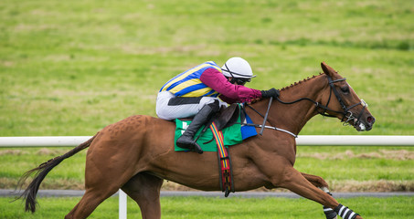 race horse and jockey galloping down the track