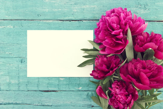 Red peony flowers on turquoise rustic wooden background
