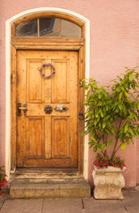 Fototapeta na wymiar Old door with flowers and tree