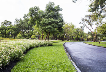 Garden in the Suan Luang Rama IX Public Park