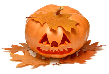 Fototapeta premium Halloween Pumpkin with oak leaves isolated on a white background