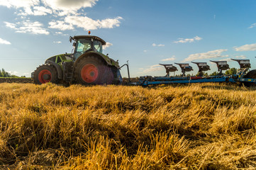 Obraz premium Agriculture plowing tractor on wheat cereal fields