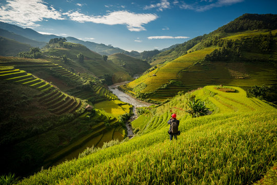 Beautiful Rice Terraces in the evening, South East Asia