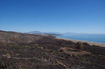 Verbrannte Küste in Andalusien