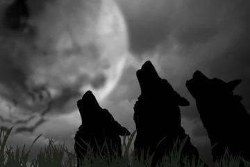 Crédence de cuisine en verre imprimé Loup Wolf / Silhouette of wolves with moon at night. Digital retouch.