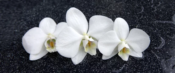 Selbstklebende Fototapete Orchidee Drei weiße Orchideenblüten.