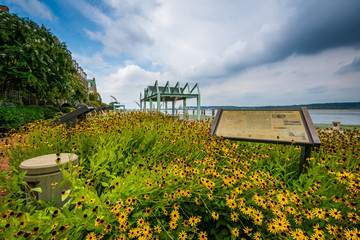 Garden along the Potomac River, in Alexandria, Virginia.