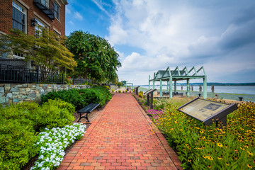 Fototapeta premium Gardens and apartment building along the Potomac River waterfron