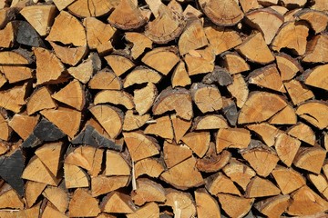Log Pile Closeup