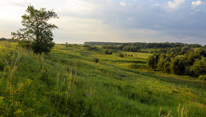 Obraz premium Summer landscape.Morning in Tula region,Russia