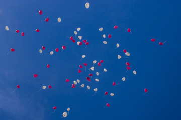 Herzballons mit Helium gefülllt fliegen am Himmel