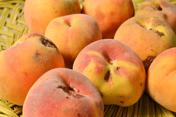Yellow peach harvest