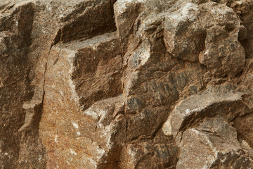 Texture of vulcanic rock