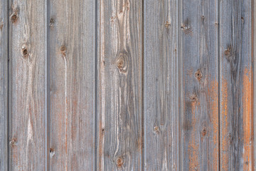 Naklejka premium Old Gray Wooden Fence Partially Painted Orange Paint. Texture, Background Series.