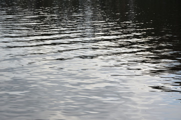 Twinkling wavy water surface of a lake or pond