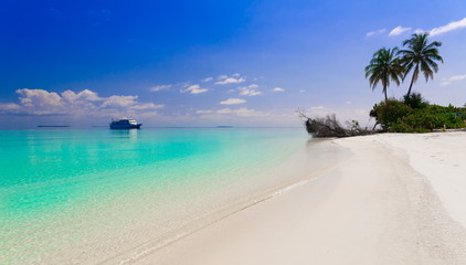 Obraz na płótnie Canvas Maldives, tropical sea background 2!