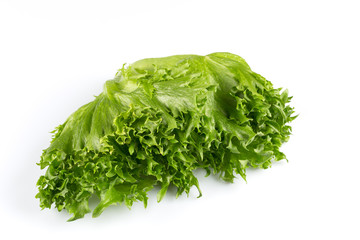 fresh lettuce texture