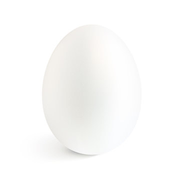 White isolated vector realistic egg with shadow