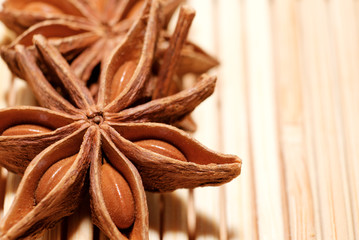 star anise close up