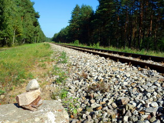 Railroad shoulder in forest