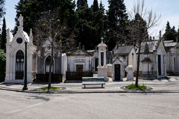 Obraz premium Friedhof (Cemeterio dos Prazeres) in Lissabon