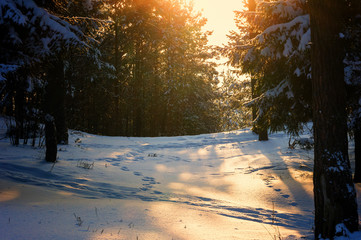 Sunny and snowy winter © zuzannab