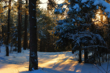 Winter in Poland © zuzannab