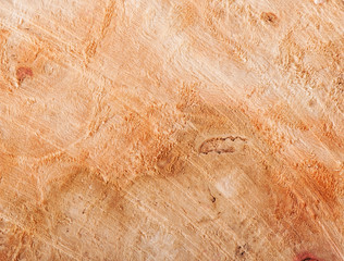 Wood texture, abstract wooden background.