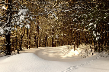 Polish winter © zuzannab